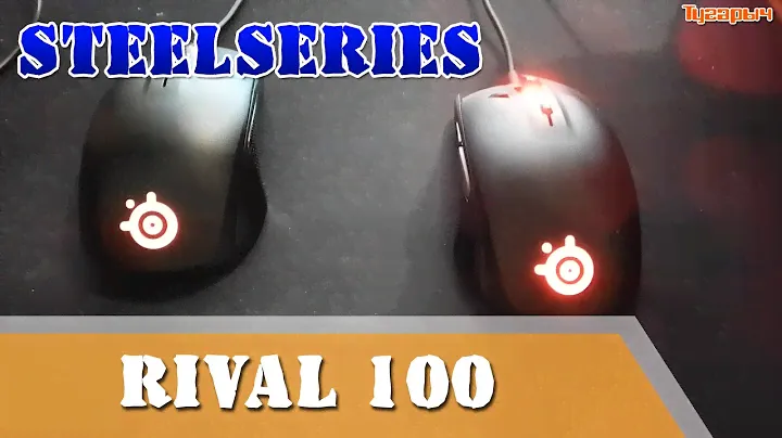 Steelseries rival 100 Оригинал VS Aliexpress