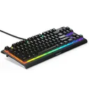 Клавиатура SteelSeries Apex 3 TKL
