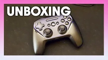 Unboxing The Steelseries Stratus Duo Controller